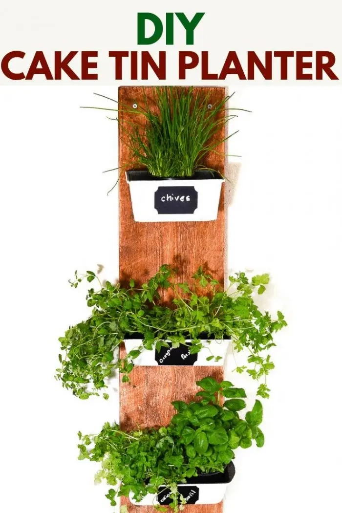 Heeft u roestige taarttuinen die wachten om te worden geüpcycled? Transformeer ze met deze DIY-huisplantenbak. Volg de tutorial om de cakeblikken te upcyclen tot plantenpotten #Herbplanter