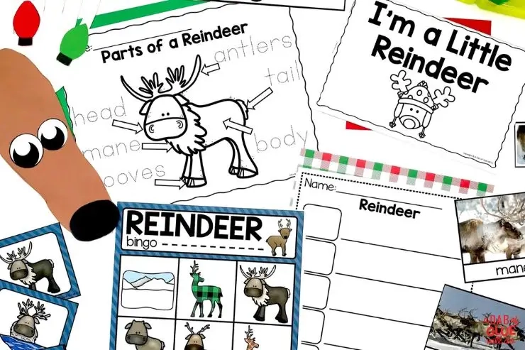 Deze pre-k rendierwetenschapseenheid heeft alles wat je nodig hebt om je kleintjes alles over deze leuke dieren te leren! Inclusief printables, activiteiten en meer.
