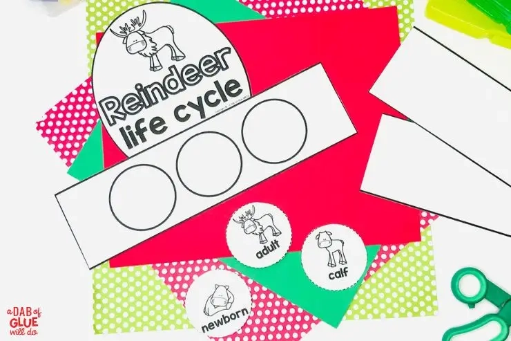Leuke rendierlevenscyclus-hoed voor kleine leerlingen 
