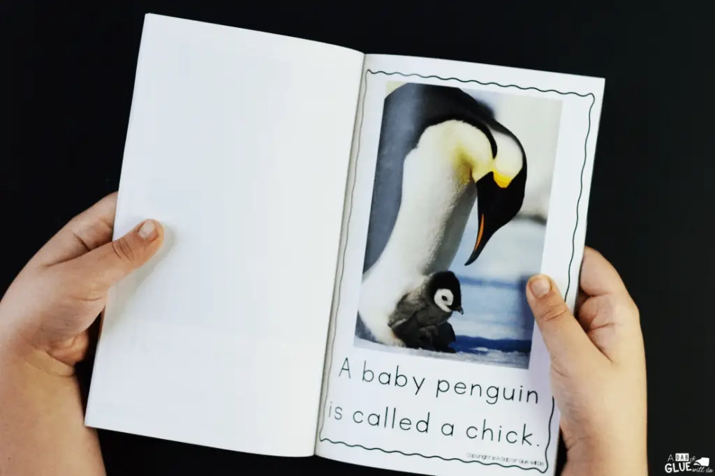 Deze Penguin Emergent Reader helpt uw ​​leerlingen op een plezierige manier hun gedrukte en fonologische bewustzijn op te bouwen.