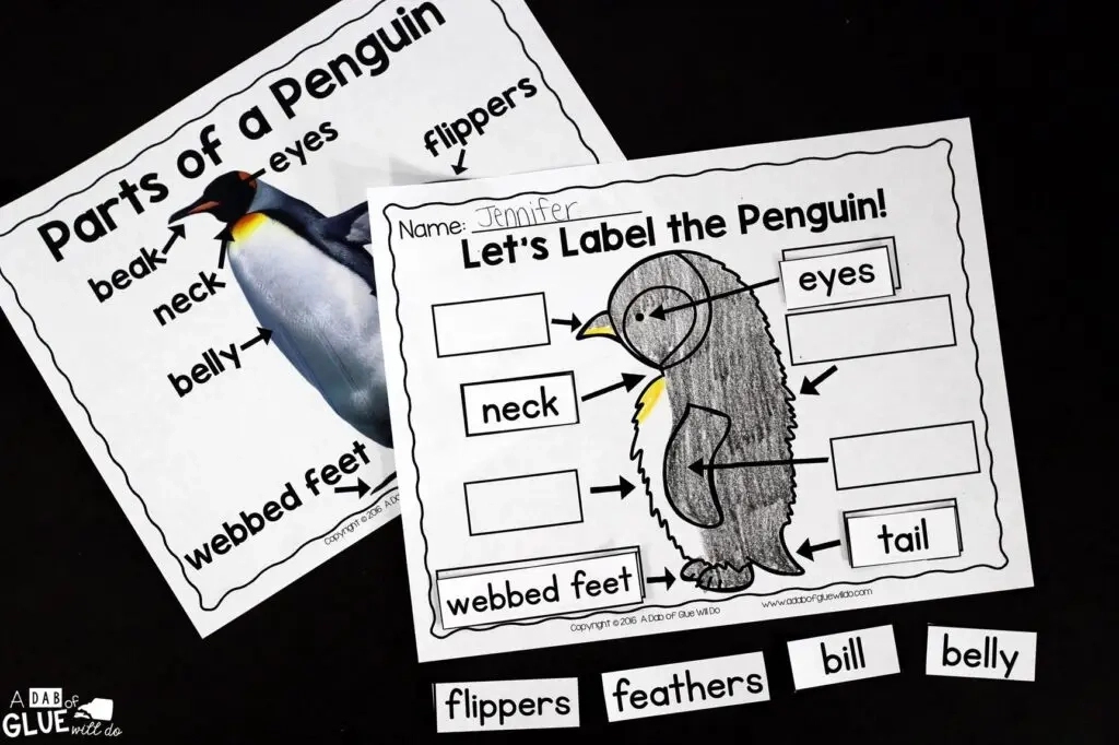 Betrek je klas bij een spannende praktijkervaring en leer alles over pinguïns! Deze Penguin Animal Study is perfect voor wetenschap in de kleuter-, kleuter-, kleuter-, eerste- en tweede klas klaslokalen en zit boordevol uitnodigende wetenschappelijke activiteiten. Studenten leren over het verschil tussen pinguïns en papegaaiduikers, dieren met en zonder zwemvliezen, delen van een pinguïn en de levenscyclus van een pinguïn. Als de leerlingen klaar zijn, kunnen ze een pinguïnonderzoeksproject voltooien. Dit pakket is geweldig voor thuisonderwijs, knutselactiviteiten voor kinderen en om toe te voegen aan je eenheidsstudies!