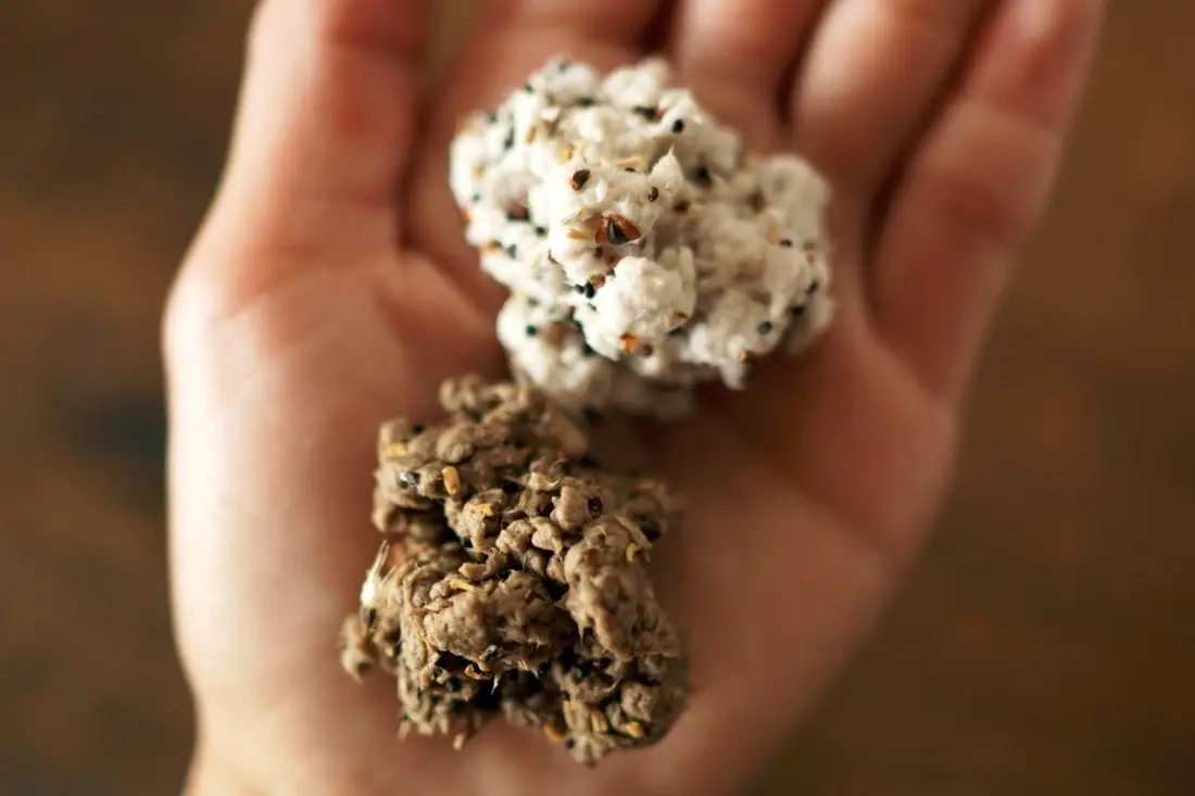 DIY plantbaar zaadpapier voor wilde bloemen