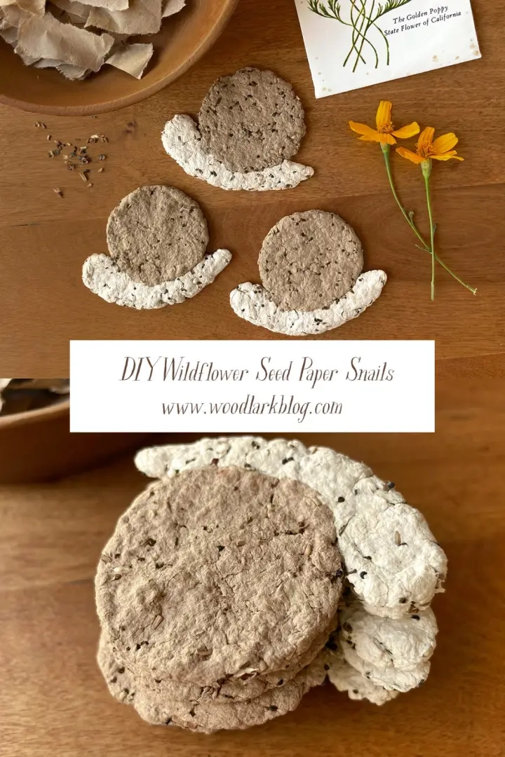 DIY plantbaar zaadpapier voor wilde bloemen