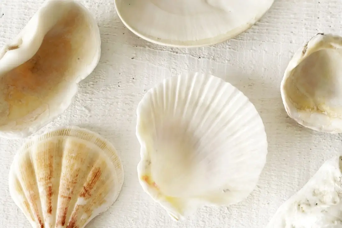 DIY schelpenbijenwaskaarsen