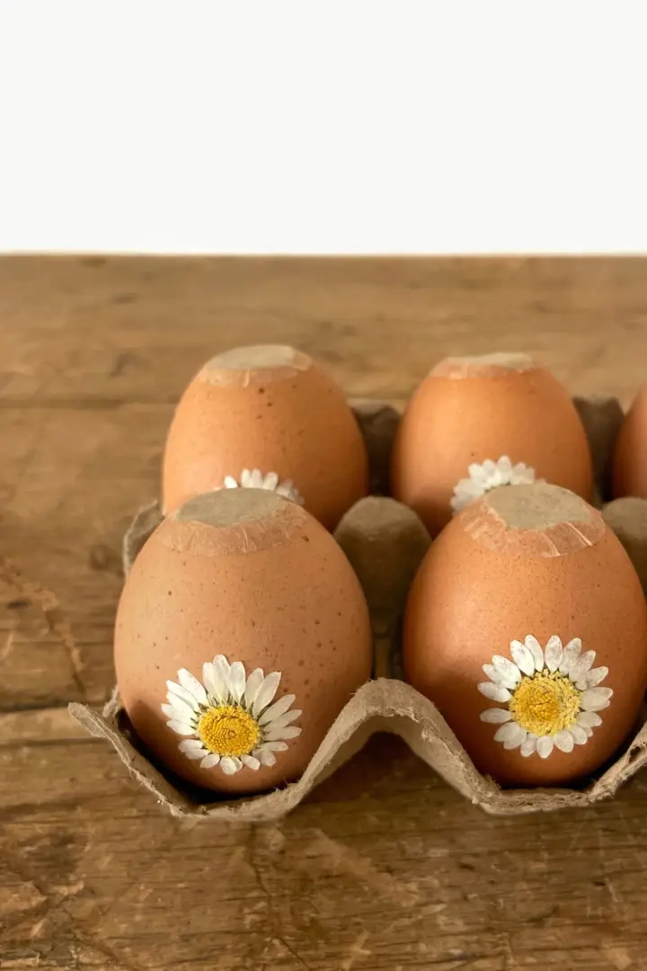 DIY Wildflower-zaadbommen in eierschalen