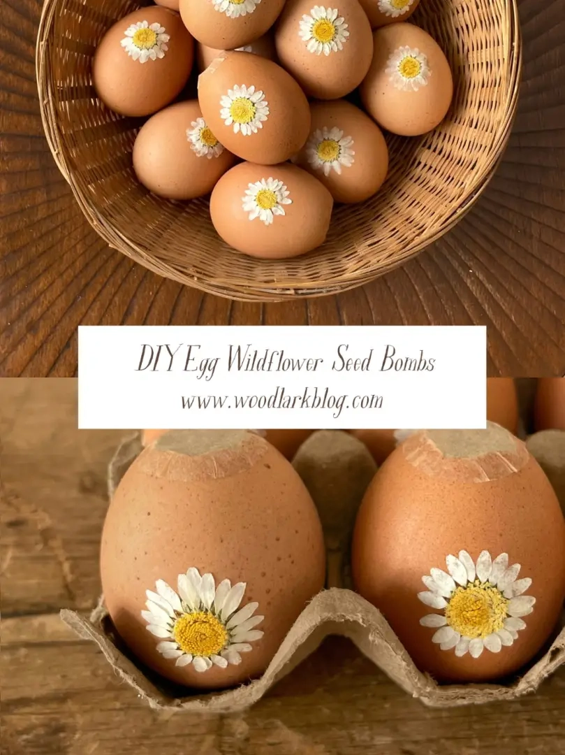 DIY Wildflower-zaadbommen in eierschalen