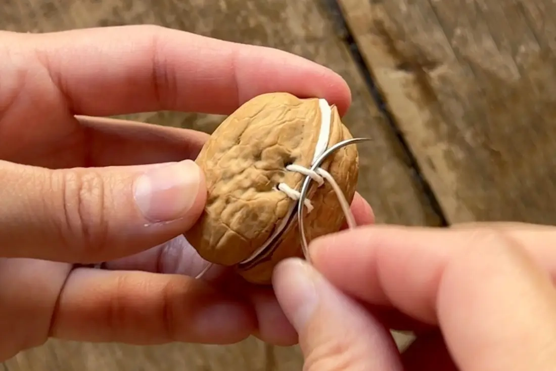 DIY notitieboekjes met notenschelpen