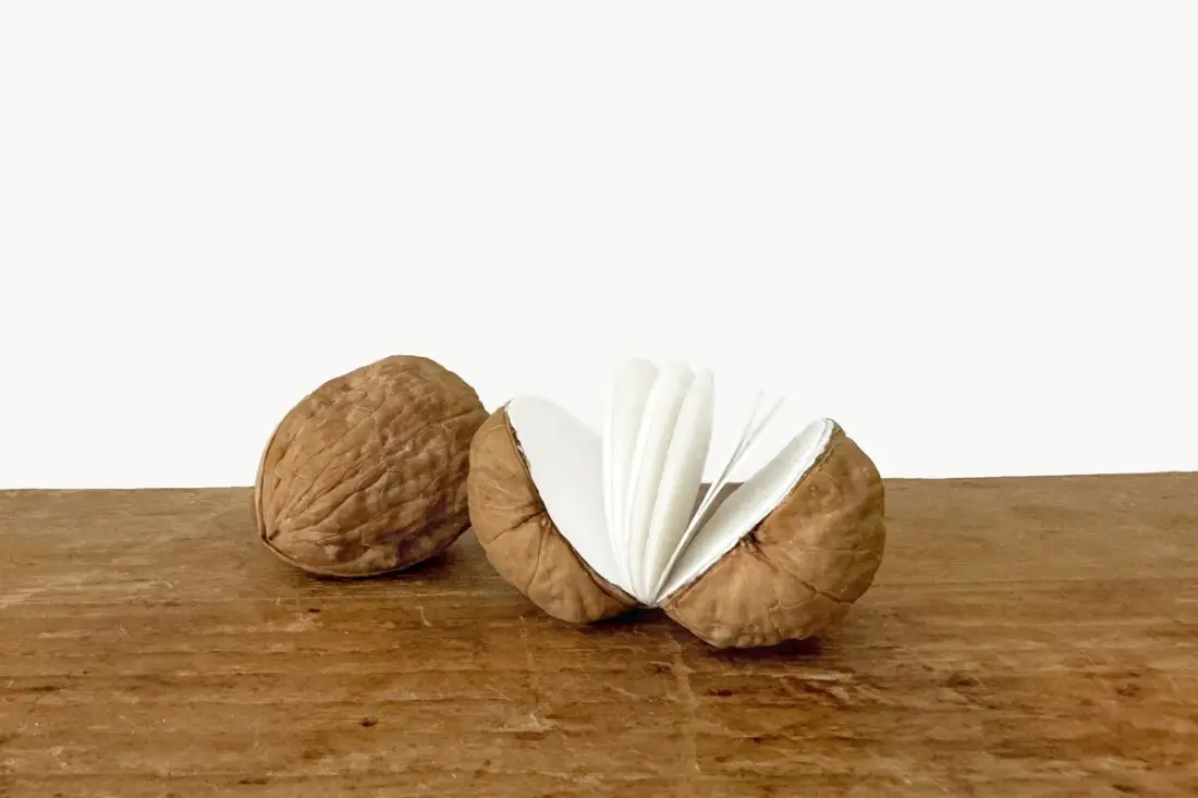 DIY notitieboekjes met notenschelpen