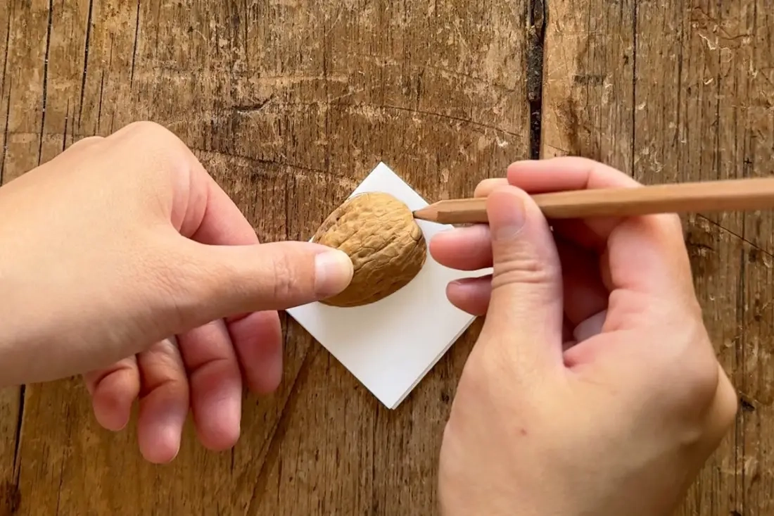 DIY notitieboekjes met notenschelpen