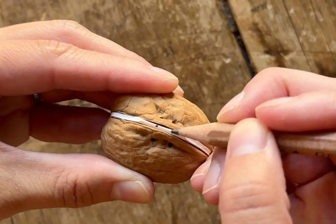DIY notitieboekjes met notenschelpen