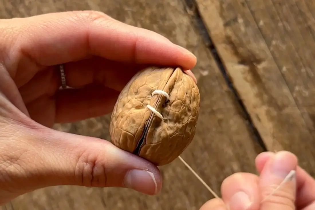 DIY notitieboekjes met notenschelpen