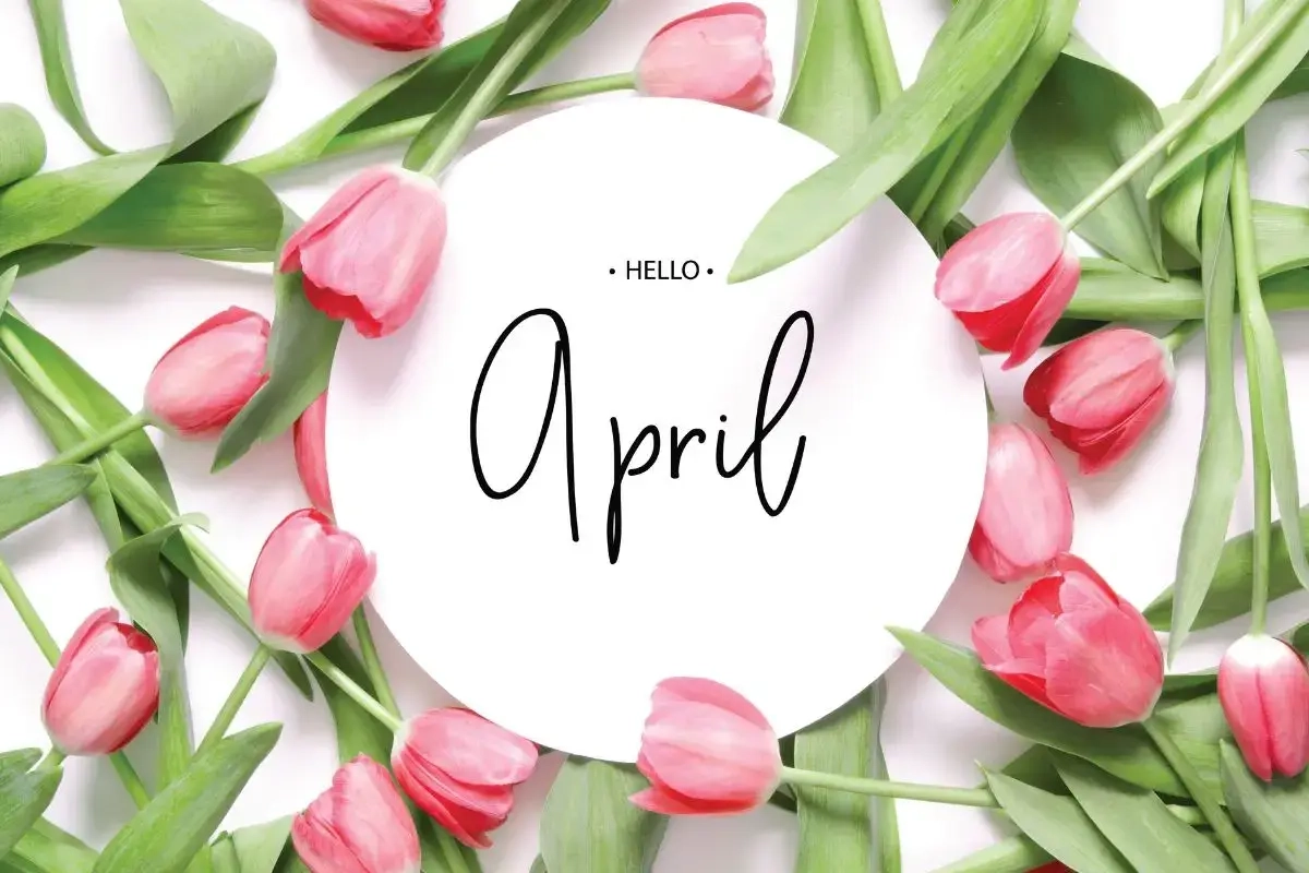 Hallo april