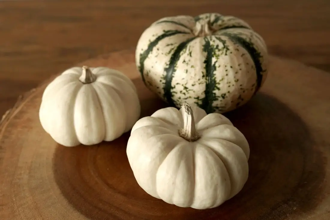 DIY Pompoen Bijenwaskaarsen
