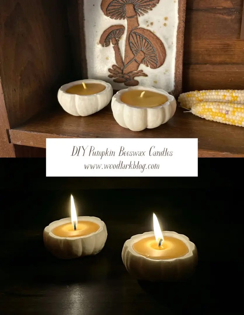 DIY Pompoen Bijenwaskaarsen