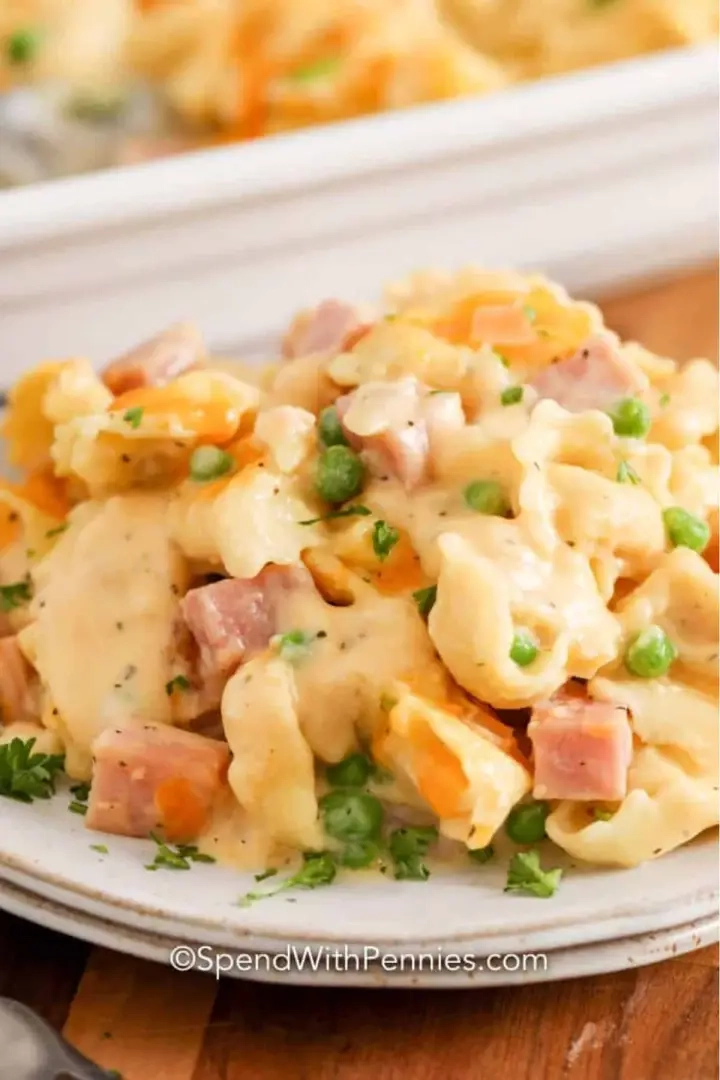 romige tortellini