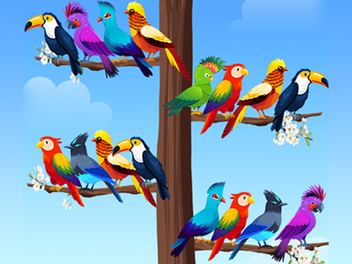 Puzzles de Tri d’Oiseaux