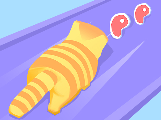 L’évolution du chat