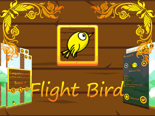 Oiseau de Vol
