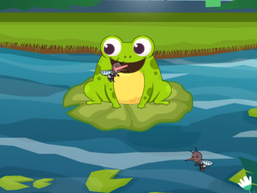 Festin de grenouille