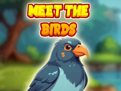 Rencontrez les oiseaux