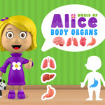 Monde d’Alice – Organes du corps